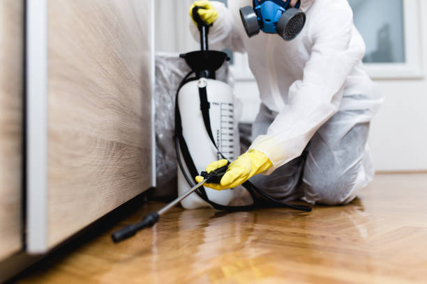 Best Insect Control  in Wrightsville, AR