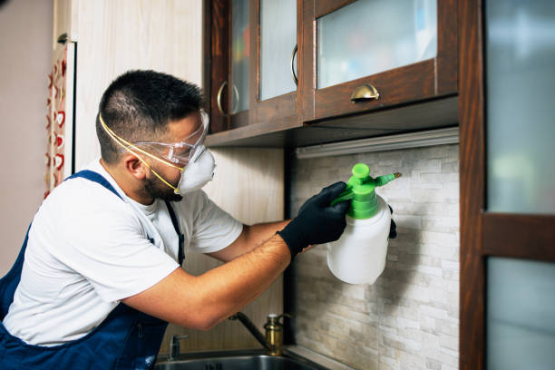 Best Best Pest Control Companies  in Wrightsville, AR