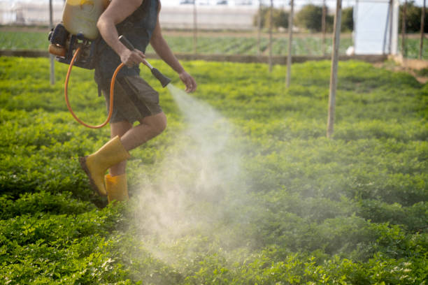 Best Wildlife Control Services  in Wrightsville, AR