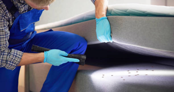 Best Mosquito Control Services  in Wrightsville, AR