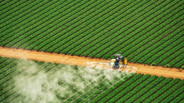 Best Commercial Pest Control Services  in Wrightsville, AR