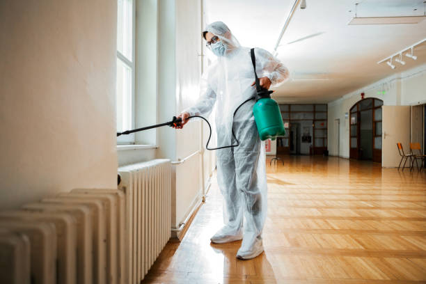 Best Flea Control Services  in Wrightsville, AR