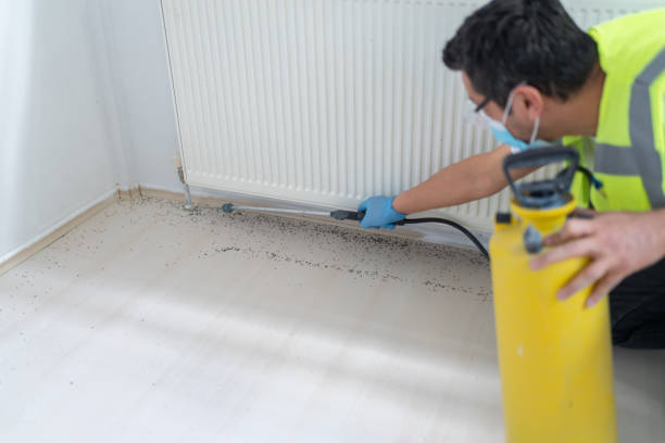 Best Emergency Pest Control  in Wrightsville, AR