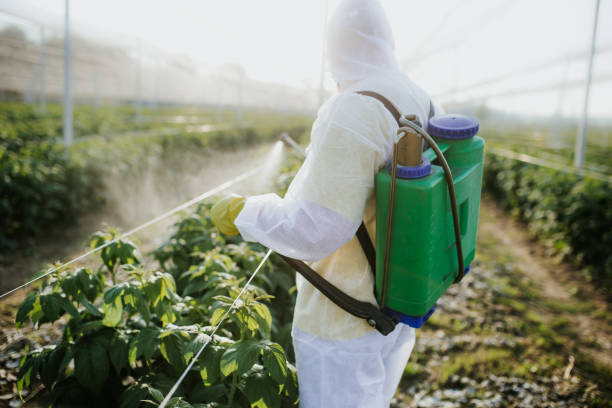  Wrightsville, AR Pest Control Pros
